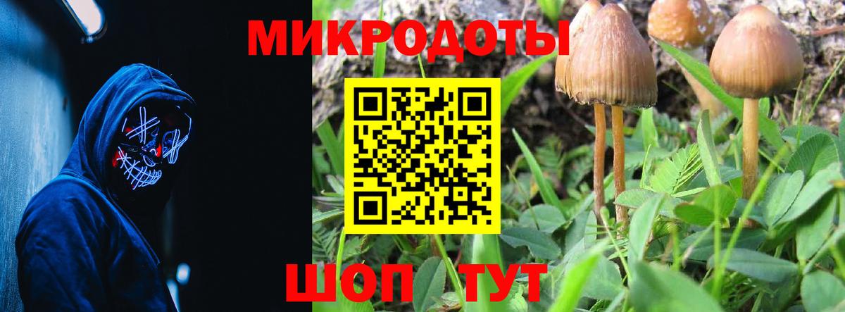 Псилоцибиновые грибы ЛСД Магнитогорск